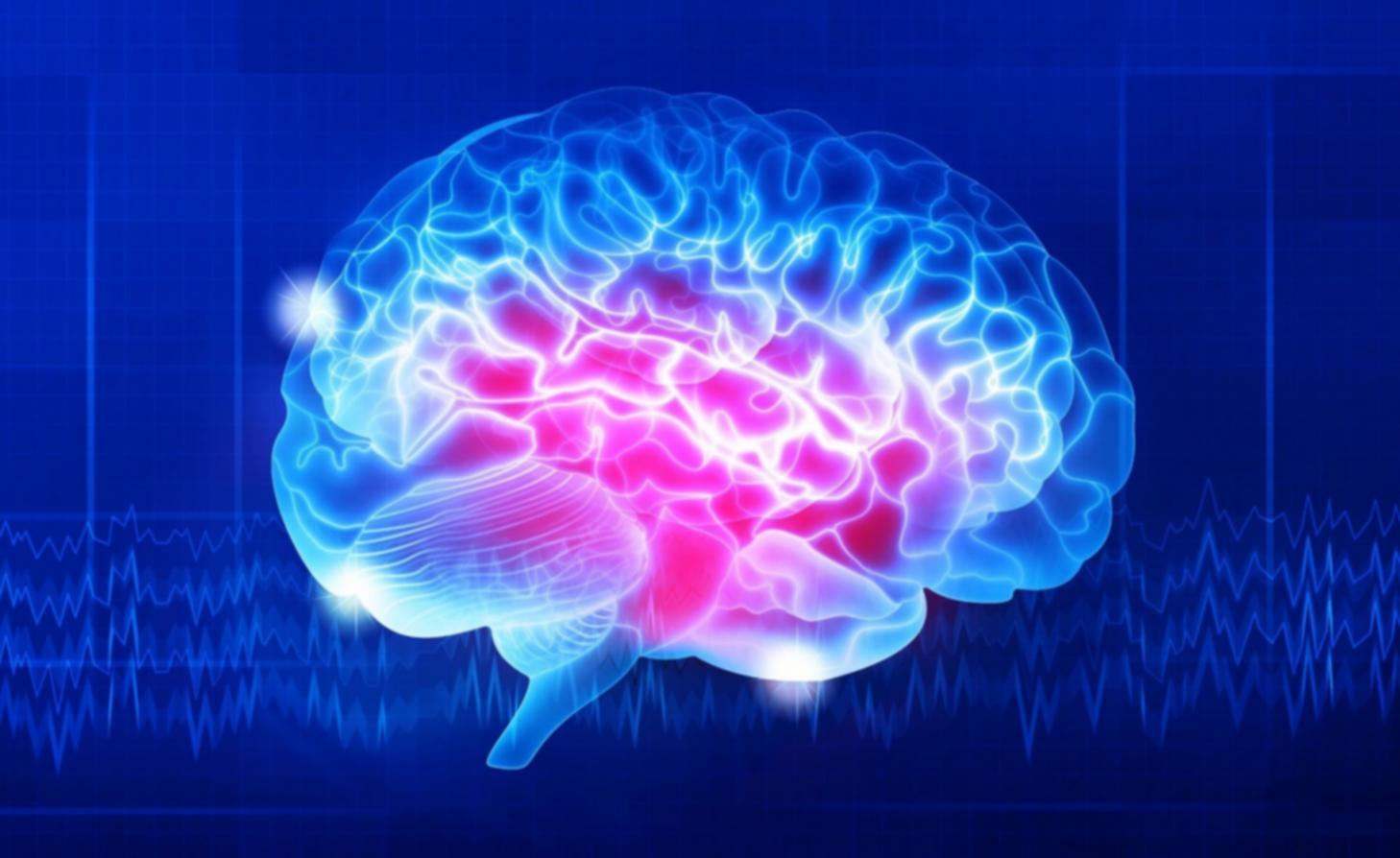 Praktische Anwendung von KI-Tools in der Landwirtschaft